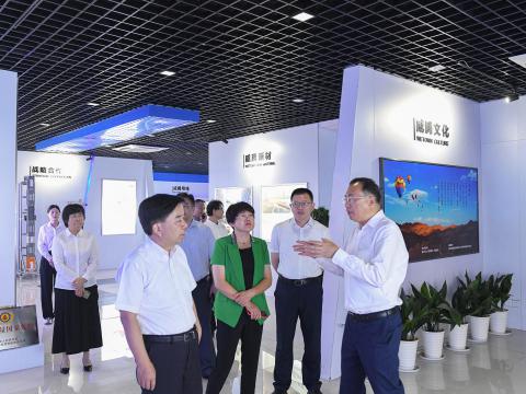 鎮(zhèn)江市總工會領導蒞臨威騰電氣調研產改工作