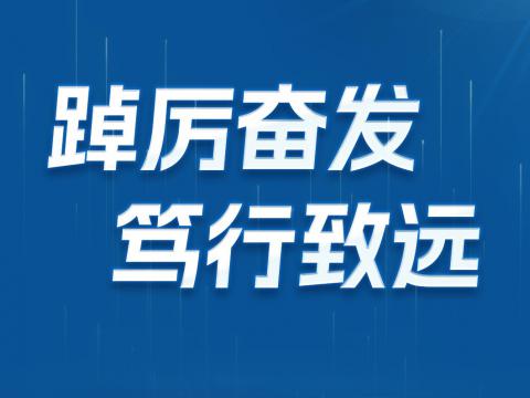 一圖讀懂威騰電氣2024年半年報