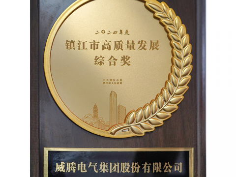 喜訊│威騰電氣集團(tuán)股份有限公司榮獲2024年度鎮(zhèn)江市高質(zhì)量發(fā)展綜合獎(jiǎng)