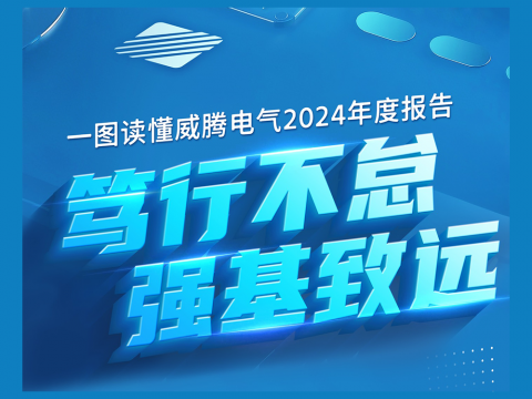 一圖讀懂威騰電氣2024年度報告